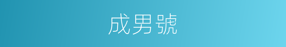 成男號的同義詞