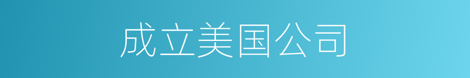 成立美国公司的同义词
