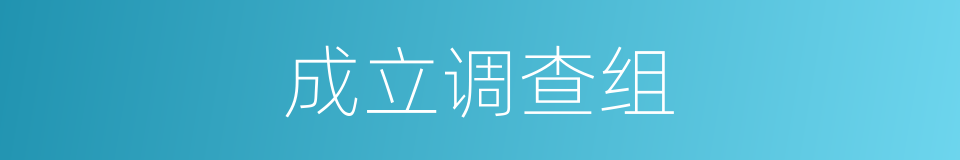 成立调查组的同义词