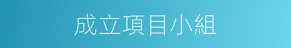 成立項目小組的同義詞
