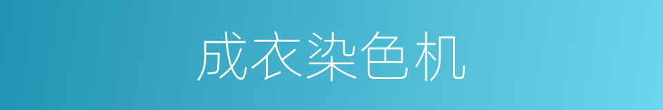 成衣染色机的同义词
