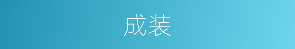 成装的同义词