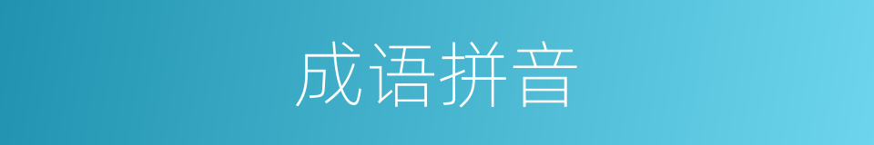 成语拼音的意思