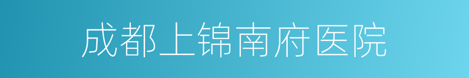 成都上锦南府医院的同义词