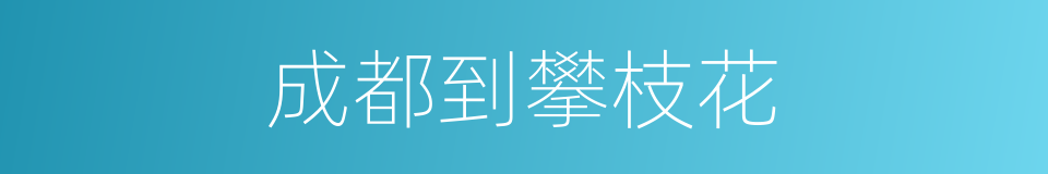 成都到攀枝花的同义词