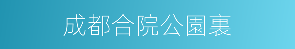 成都合院公園裏的同義詞