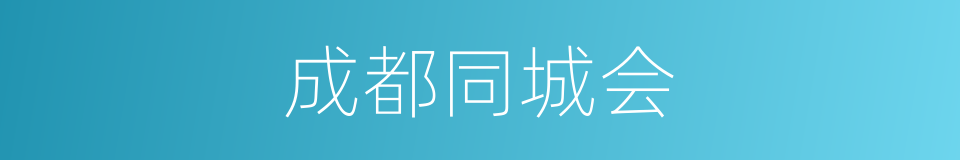 成都同城会的同义词