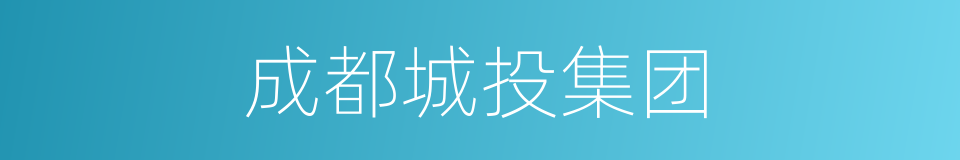 成都城投集团的同义词