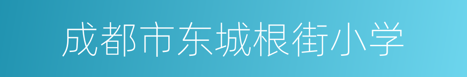 成都市东城根街小学的同义词