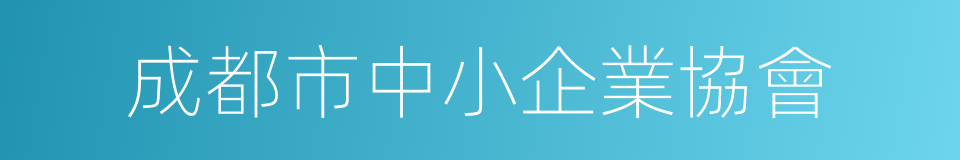 成都市中小企業協會的同義詞