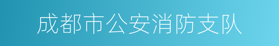 成都市公安消防支队的同义词