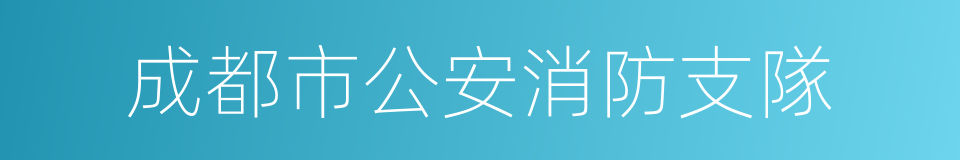 成都市公安消防支隊的同義詞