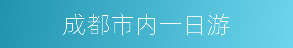 成都市内一日游的同义词