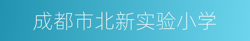 成都市北新实验小学的同义词