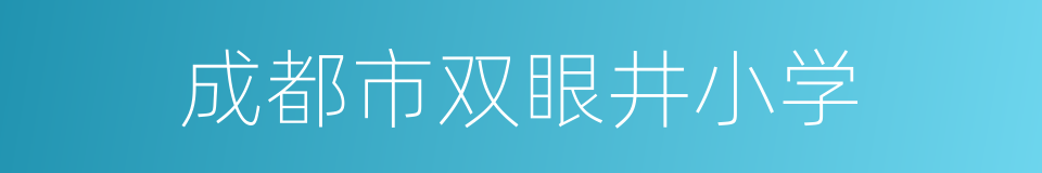 成都市双眼井小学的同义词