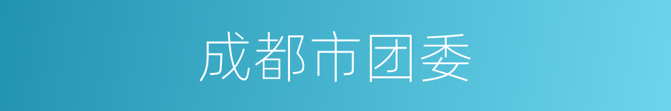 成都市团委的同义词