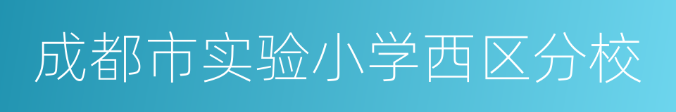 成都市实验小学西区分校的同义词