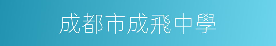 成都市成飛中學的同義詞