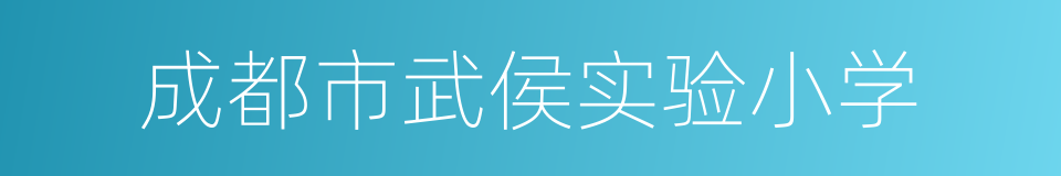 成都市武侯实验小学的同义词