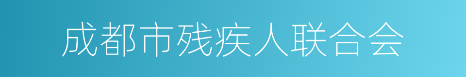 成都市残疾人联合会的同义词