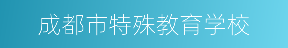 成都市特殊教育学校的同义词