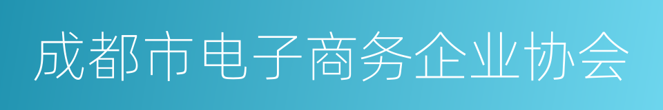 成都市电子商务企业协会的同义词