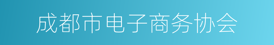 成都市电子商务协会的同义词