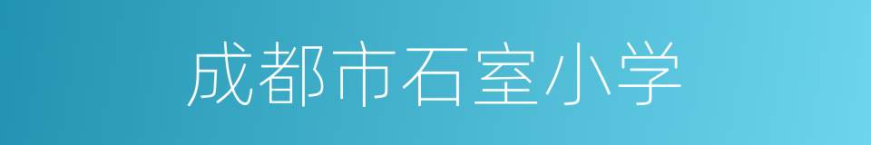 成都市石室小学的同义词