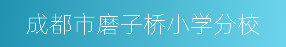 成都市磨子桥小学分校的同义词
