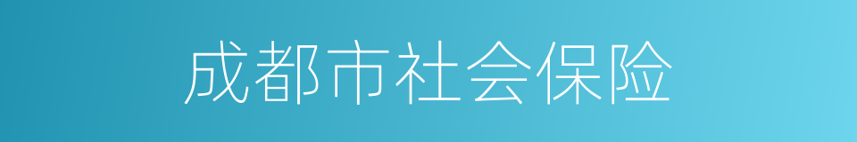 成都市社会保险的同义词