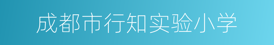 成都市行知实验小学的同义词