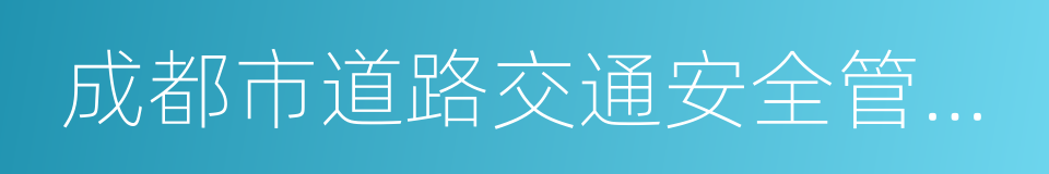 成都市道路交通安全管理条例的同义词