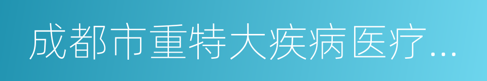 成都市重特大疾病医疗保险药品目录的同义词