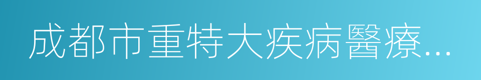 成都市重特大疾病醫療保險藥品目錄的同義詞