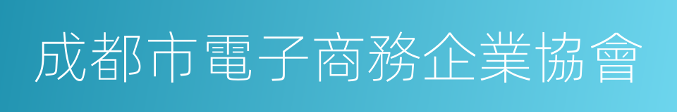 成都市電子商務企業協會的同義詞