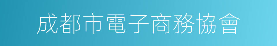 成都市電子商務協會的同義詞