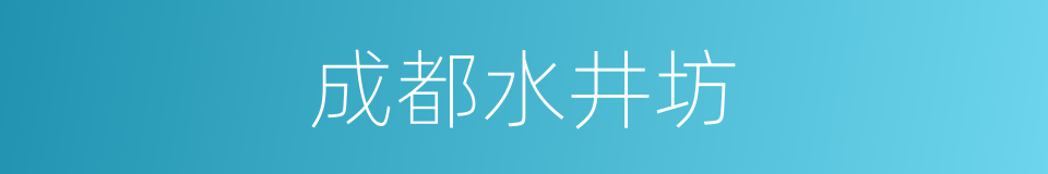 成都水井坊的同义词