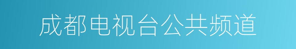 成都电视台公共频道的同义词