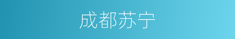 成都苏宁的同义词