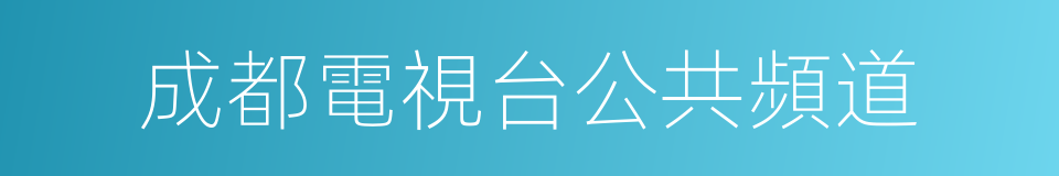 成都電視台公共頻道的同義詞