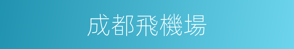 成都飛機場的同義詞