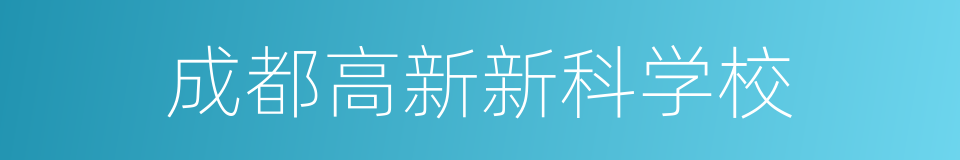 成都高新新科学校的同义词
