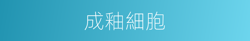 成釉細胞的同義詞