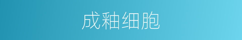 成釉细胞的同义词