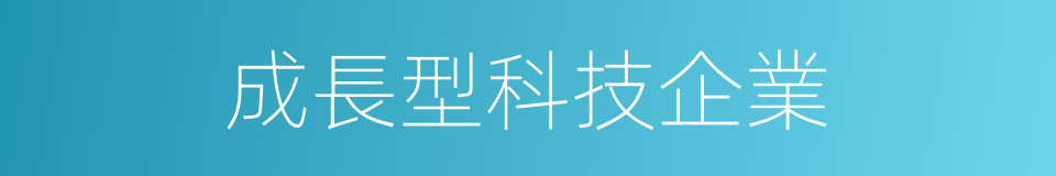 成長型科技企業的同義詞