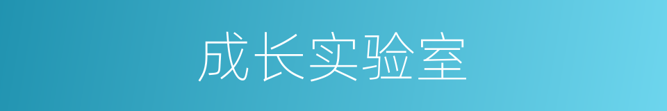 成长实验室的同义词