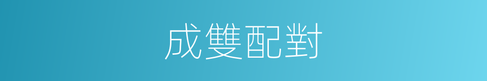 成雙配對的同義詞