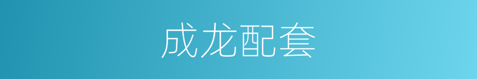 成龙配套的意思