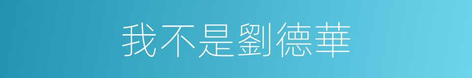 我不是劉德華的同義詞
