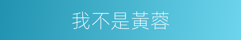 我不是黃蓉的同義詞